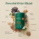 10-in-1 Alpha Shilajit Gummies | 4000 mg Pure Himalayan Shilajit with Tongkat Ali & Maca Root | for Men & Women | ShilAbsorb Bioavailability Tech | Sugar-Free, Vegan | 60 Gummies - Image 2