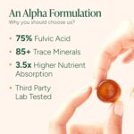 10-in-1 Alpha Shilajit Gummies | 4000 mg Pure Himalayan Shilajit with Tongkat Ali & Maca Root | for Men & Women | ShilAbsorb Bioavailability Tech | Sugar-Free, Vegan | 60 Gummies - Image 3