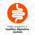 Align Probiotic, Yogurt Coated Probiotic Fruit Bites, Helps Support Digestive Health, From the Maker of the #1 Doctor Recommended Probiotic Brand‡, Apple Blueberry Flavor, 21 Pouches - Image 3