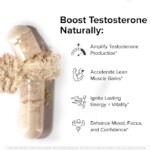 InnoSupps : T-Drive | Testosterone Booster | Amplify Muscle Growth | KSM-66 Ashwagandha, Boron, Fenugreek | 90 Capsules - Image 4