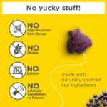Zarbee’s Kids Elderberry Immune Support Supplement Gummies, Vitamins A C D3 E & Zinc, Elderberry Extract, Gluten & Gelatin Free, No Artificial Flavors, Natural Berry Flavor, Ages 2+, 42 Ct - Image 3