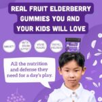 Llama Naturals Elderberry Gummies for Kids, Vegan, Organic Immune Support Supplement with Vitamin C and Zinc, Toddler Real Fruit Gummy Vitamins for Immunity, Chewable, No Added Sugar Cane, 60 Ct - Image 3