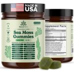 Natural Rems Sea Moss Gummies 16-in-1 - Ashwagandha Black Seed Oil Bladder Wrack Turmeric Vitamin C & D3 with Manuka Burdock Root Dandelion Yellow Dock Elderberry Apple Cider Vinegar (Green Apple)