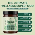 Natural Rems Sea Moss Gummies 16-in-1 - Ashwagandha Black Seed Oil Bladder Wrack Turmeric Vitamin C & D3 with Manuka Burdock Root Dandelion Yellow Dock Elderberry Apple Cider Vinegar (Green Apple) - Image 4