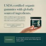 Gaia Herbs Organic Ashwagandha Gummies - Stress Support* - Made with Cinnamon & Ginger - Gluten Free & Vegan - 81 Count (27 Servings) - Image 2