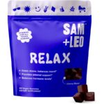 SAM+LEO Relax Gummies with Ashwagandha, Vitamin D2 & Zinc for Kids & Teens – Relaxation Support & Everyday Wellness – Vegan & Gluten Free, Cherry Flavor (60 Count)